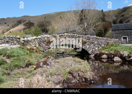 Watendlath pack horse bridge près de Watendlath hameau. Un chien dans le cas de Beck. Banque D'Images