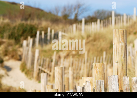 Scène de dunes de sable. Daymer Bay, Cornwall, UK. Banque D'Images