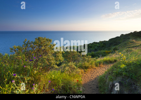 Lever de soleil sur l'Hiddensee, Allemagne, Mecklembourg-Poméranie-Occidentale, Hiddensee Banque D'Images