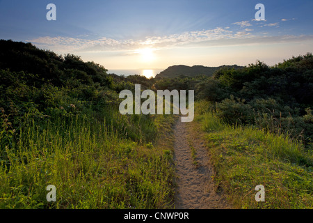 Lever de soleil sur l'Hiddensee, Allemagne, Mecklembourg-Poméranie-Occidentale, Hiddensee Banque D'Images