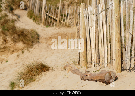 Scène de dunes de sable. Daymer Bay, Cornwall, UK. Banque D'Images