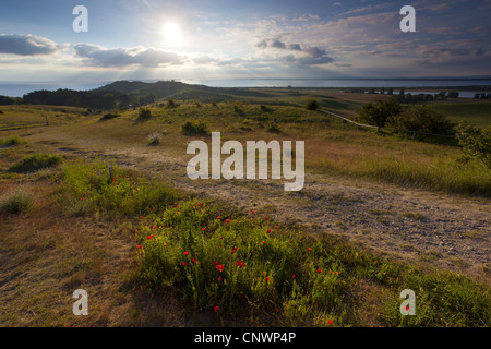 Lever de soleil sur l'Hiddensee, Allemagne, Mecklembourg-Poméranie-Occidentale, Hiddensee Banque D'Images