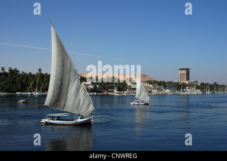 Les felouques, bateaux à voile, traditionnel égyptien sur le Nil à Assouan, Egypte. Banque D'Images