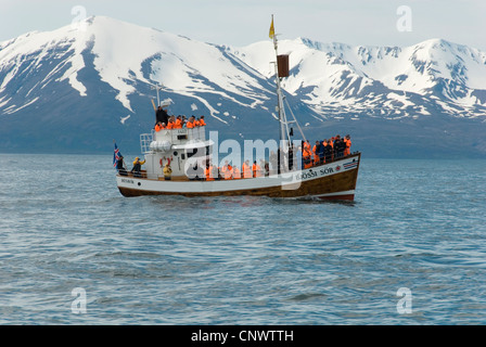 Les touristes sur un bateau d'observation des baleines, l'Islande, Husavik Banque D'Images