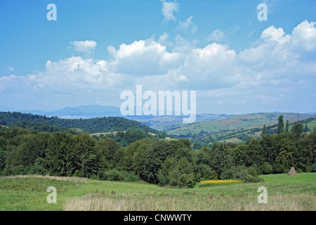 Paysage dans les Carpates, l'Ukraine, l'Oblast de Vinnytsia Banque D'Images