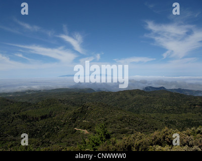 Vue depuis l'Alto de Garajonay forêt de lauriers et La Palma, Canary Islands, Gomera, Parc National de Garajonay Banque D'Images