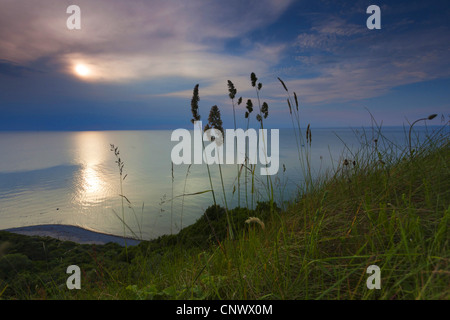 Les oreilles de l'herbe en face du coucher de soleil sur la mer, de l'Allemagne, de Mecklembourg-Poméranie-Occidentale, Hiddensee Banque D'Images