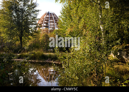 Recherche de l'éducation au chemin forestier Bayerischer Wald reflète dans une eau calme, Allemagne, Bavière, Nationalpark Bayerischer Wald, Neuschoenau Banque D'Images