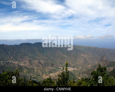 Avis de Vallehermoso, de l'Est, îles Canaries, La Gomera Banque D'Images