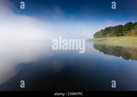 Dans la brume du matin au bord du lac à l'écart de compensation, l'Allemagne, la Saxe, Vogtland, Talsperre Poehl Banque D'Images