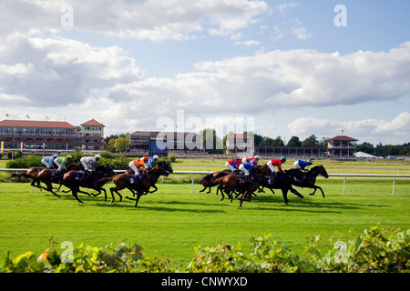 Course de chevaux, Allemagne, Bade-Wurtemberg, Baden-Baden Banque D'Images