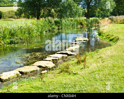 La rivière Colne Coln St Aldwyns près dans les Cotswolds, Gloucestershire, England, UK Banque D'Images