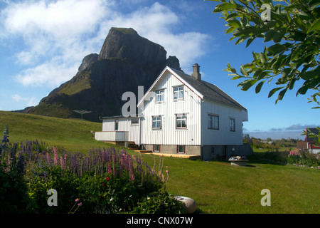 Maison en bois sur Vaeroy, Norvège, îles Lofoten Banque D'Images