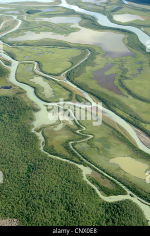 Rapa River delta à Rapa Valley, la Suède, la Laponie, Sarek National Park Banque D'Images