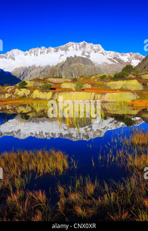 Dammastock (3630 m) se reflétant dans un lac de montagne, en Suisse, Uri, Goescheneralp Banque D'Images