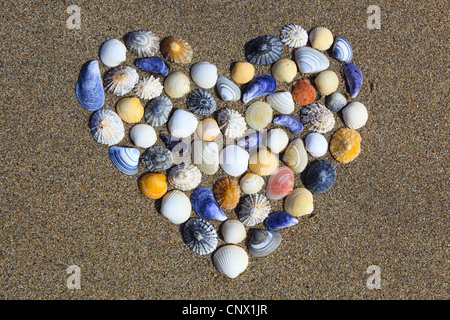 Un cœur de coquillages dans le sable, Royaume-Uni, Ecosse Banque D'Images