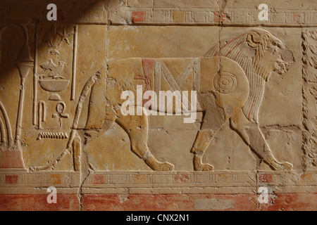 Lion. Soulagement dans le temple funéraire de la Reine Hatshepsout à Deir el-Bahari, près de Louxor, Egypte. Banque D'Images