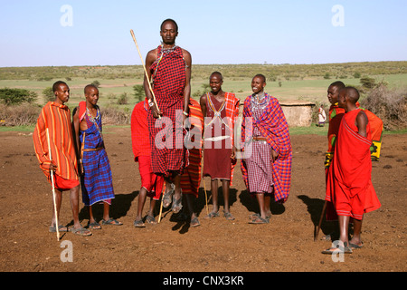 Les hommes Masai faisant une danse traditionnelle, Kenya, Masai Mara National Park Banque D'Images