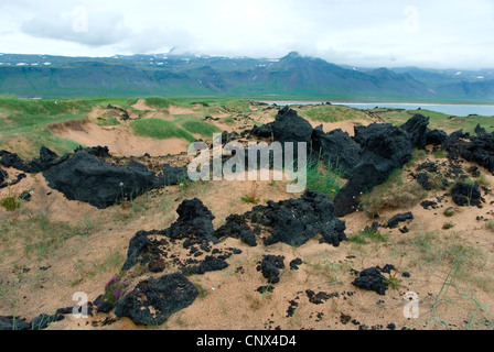 Champ 'lave' Budahraun, brisant la lave noire de dunes de sable avec de l'herbe, l'Islande, Snaefellsness, Budir Banque D'Images