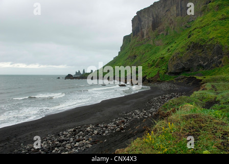 Baie à moor vallée avec côte escarpée recouverte d'herbe, de l'Islande, Mrdalur, Vik i Myrdal Banque D'Images