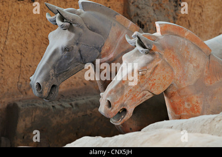 Les Guerriers de terre cuite. Close-up of equestrian chefs de l'armée à funéraire enterré Xian, province du Shaanxi, en Chine. Banque D'Images