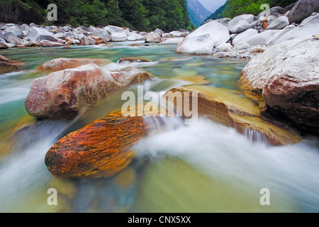 Au cours de l'exécution de la rivière Verzasca rochers à travers la Valle Verzasca, Suisse, Tessin, Verzascatal Banque D'Images