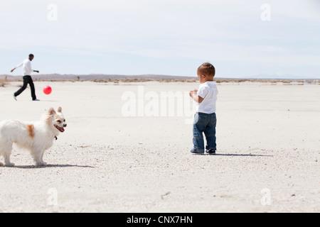 Père et fils chien jouant dans le désert avec une balle rouge. Banque D'Images