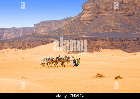 Un dromadaire, chameau (Camelus dromedarius), caravane avec des dromadaires à l'Acacus montagnes dans le désert de Libye, Libye, Sahara Banque D'Images