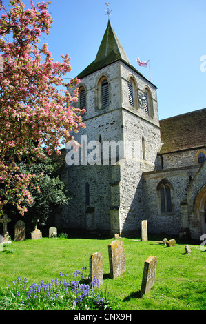 L'église St.Nicolas, Pevensey, East Sussex, Angleterre, Royaume-Uni Banque D'Images