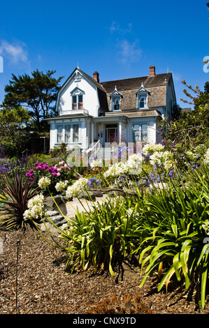 African lily (Agapanthus-Hybride), maison en bois historique et pittoresque rural en fleurs jardin, USA, Californie, Mendocino Historique Village Inn, Mendocino Banque D'Images