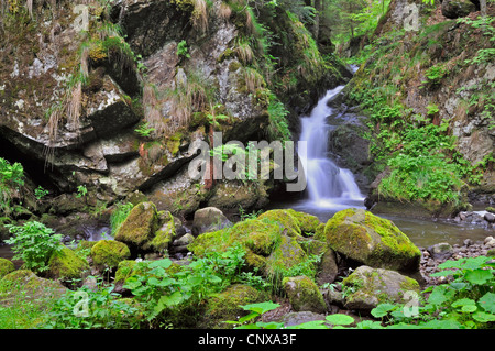 Chute d'eau dans la gorge de Hoellental, Allemagne, Bade-Wurtemberg, Forêt-Noire Banque D'Images