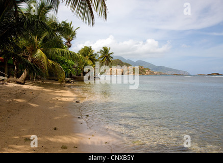 Jolie plage au village de Calibishie sur la côte nord-est de la Dominique Antilles Banque D'Images