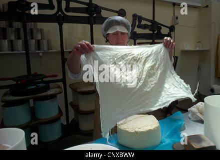 La coupe des blocs de fromage caillé sont prises pour le mettre dans des moules ronds à Curworthy fromagers ferme Devon, Angleterre Banque D'Images