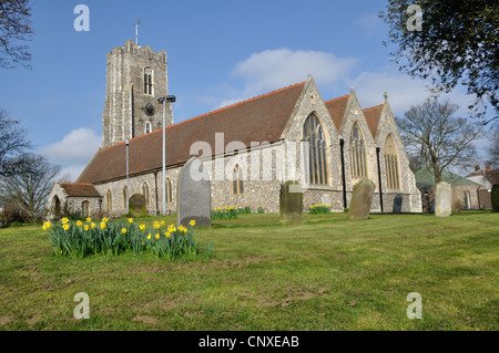 Eglise de Saint-André, Mali Zvornik, Norfolk, Royaume-Uni. Banque D'Images