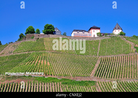 Château de marienburg en Puendericher district viticole Marienburg en vallée de la Moselle, en Allemagne, en Rhénanie-Palatinat, dans l'Puenderich Banque D'Images