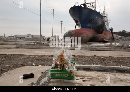 Siège des grands bateaux de pêche échoués sur terre, après avoir été transportées à l'intérieur de port par le tsunami en mars2011, Kesennuma, au Japon. Banque D'Images