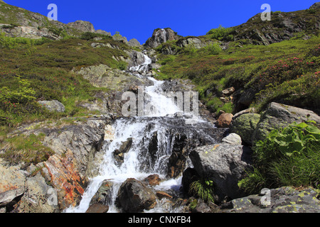 Vue vers le haut une montagne brook en plein essor au Sustenpass, Suisse, Berne, Oberland Bernois Banque D'Images