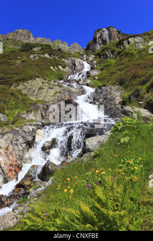 Vue vers le haut une montagne brook en plein essor au Sustenpass, Suisse, Berne, Oberland Bernois Banque D'Images