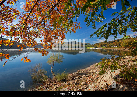 Lac de stockage Henne en automne, l'Allemagne, en Rhénanie du Nord-Westphalie, Rhénanie-Palatinat, Meschede Banque D'Images