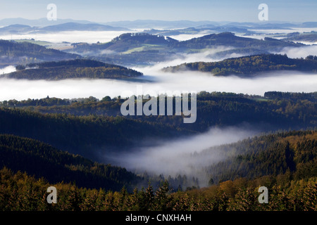 Vue depuis la tour de Loermecke à Arnsberg Forest Nature Park dans la brume du matin, l'Allemagne, en Rhénanie du Nord-Westphalie, Rhénanie-Palatinat, Warstein Banque D'Images