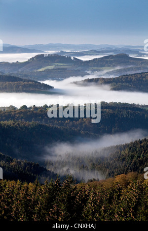 Vue depuis la tour de Loermecke à Arnsberg Forest Nature Park dans la brume du matin, l'Allemagne, en Rhénanie du Nord-Westphalie, Rhénanie-Palatinat, Warstein Banque D'Images