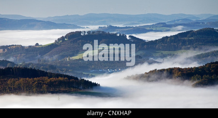 Vue depuis la tour de Loermecke à Arnsberg Forest Nature Park dans la brume du matin, l'Allemagne, en Rhénanie du Nord-Westphalie, Rhénanie-Palatinat, Warstein Banque D'Images