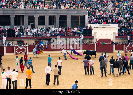 Le traditionnel Toro Embolao, courses de taureaux et corridas à Plaza de Toros de Los Barrios de Toros, le dimanche de Pâques 2012. Banque D'Images