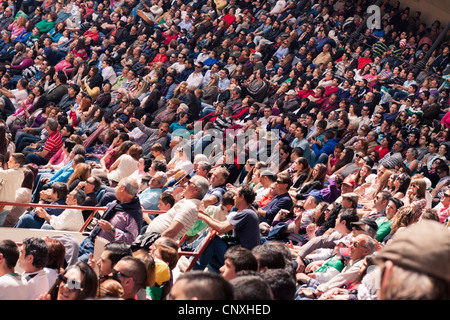 Le traditionnel Toro Embolao, courses de taureaux et corridas à Plaza de Toros de Los Barrios de Toros, le dimanche de Pâques 2012. Banque D'Images