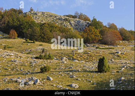 Les paysages karstiques, Monténégro, parc national de Durmitor Banque D'Images