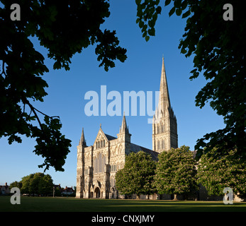 La cathédrale de Salisbury, Salisbury, Wiltshire, Angleterre. Printemps (mai) 2011. Banque D'Images