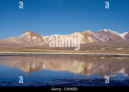 Lac Chungar, Chili, Andes, le Parc National Lauca Banque D'Images