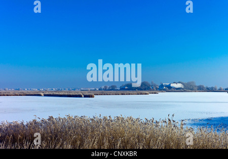 Vue sur lac gelé de Greetsiel, en Allemagne, en Basse-Saxe, Greetsiel Banque D'Images