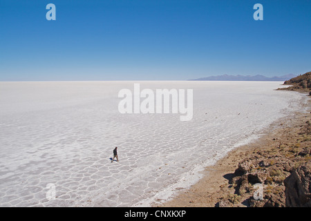 Homme marchant à travers le lac salé Salar de Uyuni à l'Île Incahuasi , la Bolivie, les Andes, l'Altiplano Banque D'Images