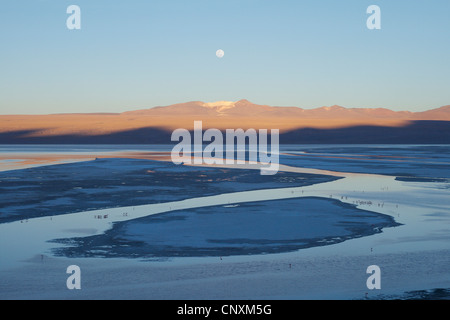 Lever de lune Colorada Lake, la Bolivie, les Andes Banque D'Images